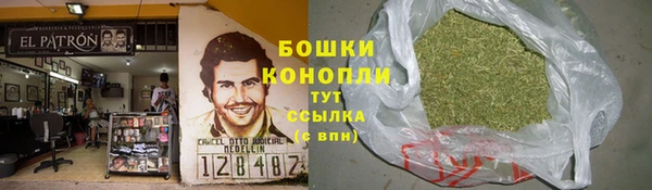 ECSTASY Богородск