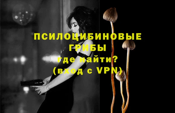 мяу мяу кристалл Богданович