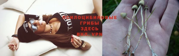 кокаин Богородицк