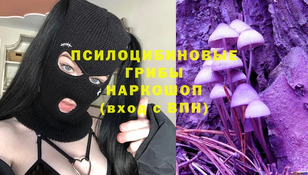 мяу мяу кристалл Богданович