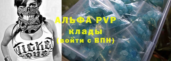 мяу мяу кристалл Богданович